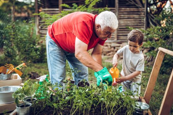 Family watering plants together